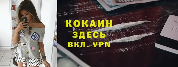 шишки Карталы