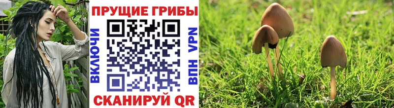 Галлюциногенные грибы GOLDEN TEACHER  Купить закладки  Уфа 
